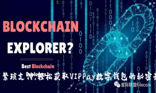 告别繁琐支付，轻松获取VIPPay数字钱包的秘密武器！