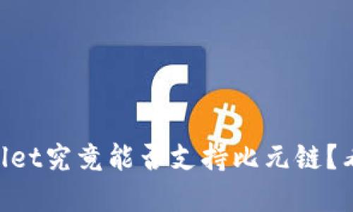 ### TPWallet究竟能否支持比元链？看完你就明白！