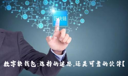 数字软钱包：选择的迷思，还是可靠的伙伴？