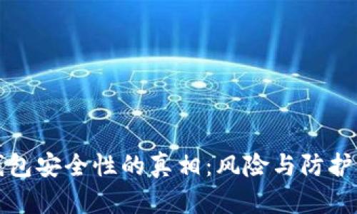 数字货币钱包安全性的真相：风险与防护的全面解析