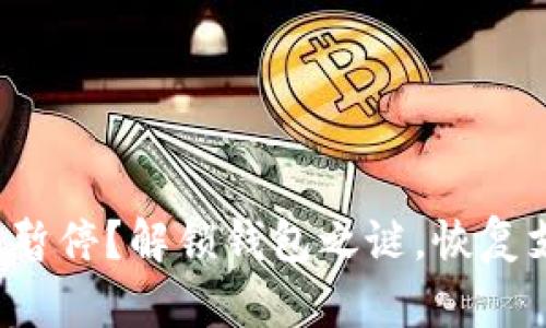 数字钱包暂停？解锁钱包之谜，恢复支付自由！