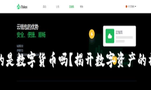 钱包真的是数字货币吗？揭开数字资产的神秘面纱