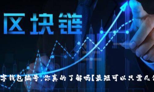 数字钱包编号，你真的了解吗？最短可以只需几位？