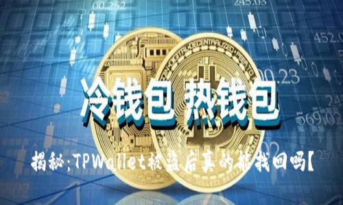 揭秘：TPWallet被盗后真的能找回吗？