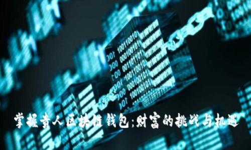 掌握贵人区块链钱包：财富的挑战与机遇