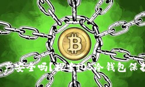 你的数字资产安全吗？探索iOS冷钱包保护你的财富！