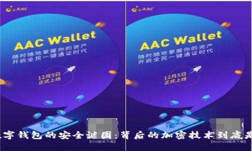 破解数字钱包的安全谜团：背后的加密技术到底是什么？