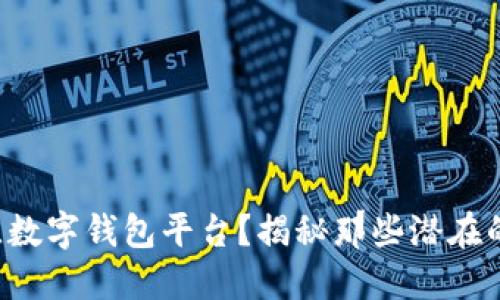如何挑选最佳数字钱包平台？揭秘那些潜在的陷阱与机会！