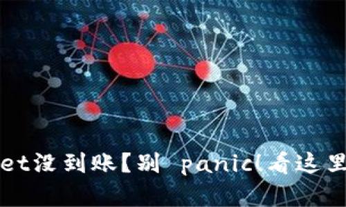 提币到TPWallet没到账？别 panic！看这里解决你的烦恼