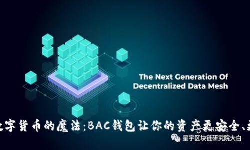 破解数字货币的魔法：BAC钱包让你的资产更安全、更高效