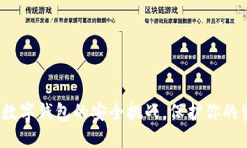 如何突破数字钱包的安全挑战，保护你的资产无忧？