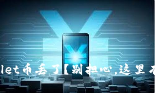 你的TPWallet币丢了？别担心，这里有办法找回！