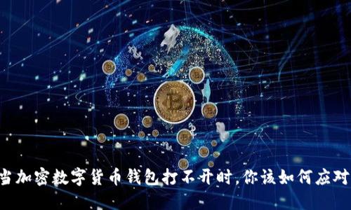 当加密数字货币钱包打不开时，你该如何应对？