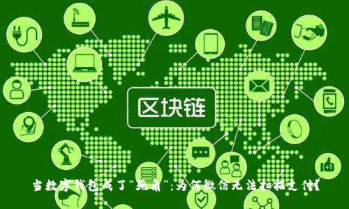 当数字钱包成了“死角”：为何微信无法扫描支付？