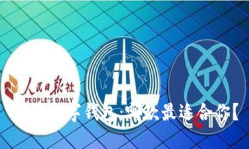 国际数字钱包：哪款最适合你？