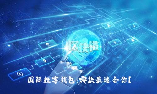国际数字钱包：哪款最适合你？