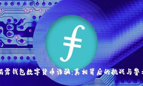 揭露钱包数字货币诈骗：真相背后的挑战与警示