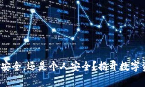 TPWallet，平台安全，还是个人安全？揭开数字资产保护的真相
