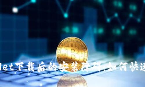 TPWallet下载后的安装障碍：如何快速解决？