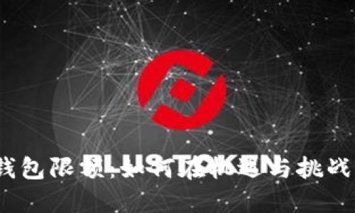 数字货币公钱包限额：如何在机遇与挑战中突破困境？