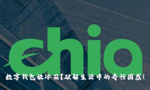 数字钱包放冰箱？破解生活中的奇怪困惑！