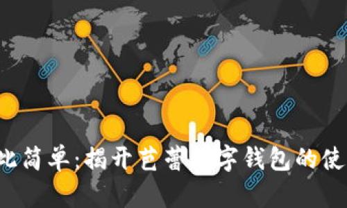 从未如此简单：揭开芭蕾数字钱包的使用秘密！