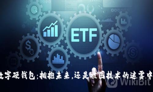 数字硬钱包：拥抱未来，还是被困技术的迷雾中？