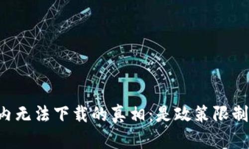 TPWallet在国内无法下载的真相：是政策限制还是用户需求？