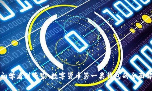 从初学者到专家：数字货币第一类钱包的全面解析