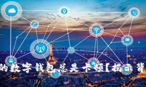 为什么你的数字钱包总是卡顿？揭示背后的真相！