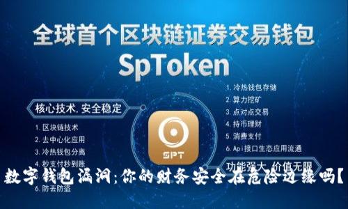 数字钱包漏洞：你的财务安全在危险边缘吗？