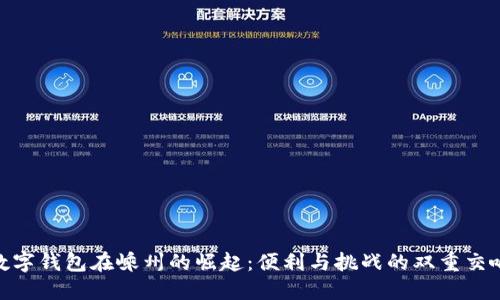 数字钱包在嵊州的崛起：便利与挑战的双重交响