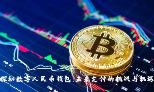 探秘数字人民币钱包：未来支付的挑战与机遇