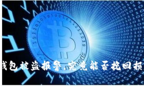 TP钱包被盗报警，究竟能否挽回损失？