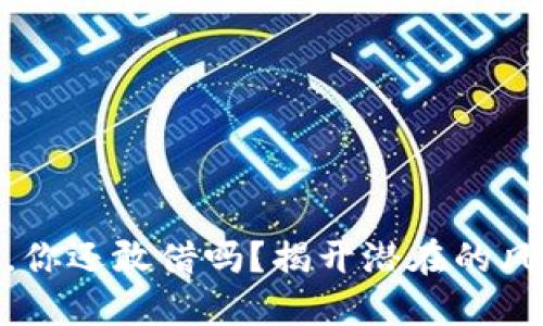 数字钱包，你还敢借吗？揭开潜在的风险与机遇