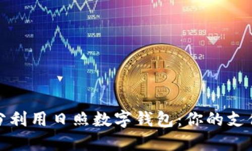 如何充分利用日照数字钱包：你的支付新选择