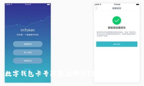 数字钱包卡号隐藏在哪里？你是否找不到？
