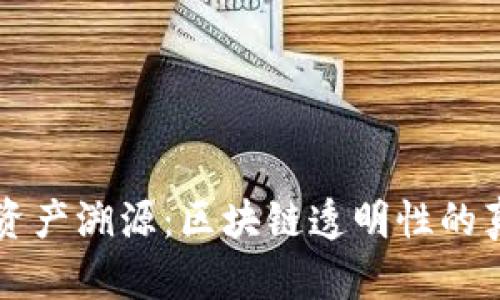 TPWallet资产溯源：区块链透明性的真相与挑战