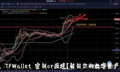   
遗失 TPWallet 密钥or困境？解锁你的数字资产之门