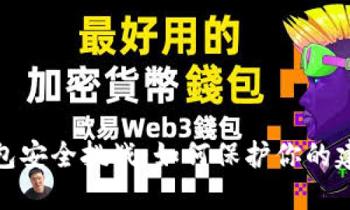 数字货币钱包安全挑战：如何保护你的建行钱包密码