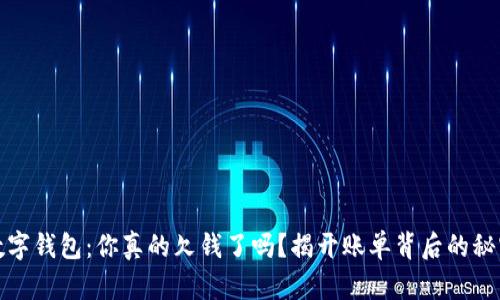 数字钱包：你真的欠钱了吗？揭开账单背后的秘密