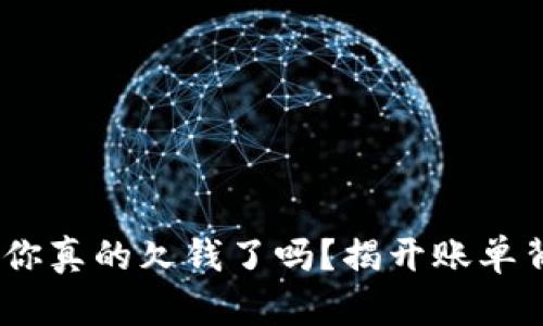 数字钱包：你真的欠钱了吗？揭开账单背后的秘密