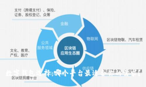 数字钱包选择：哪个平台最适合你的需求？