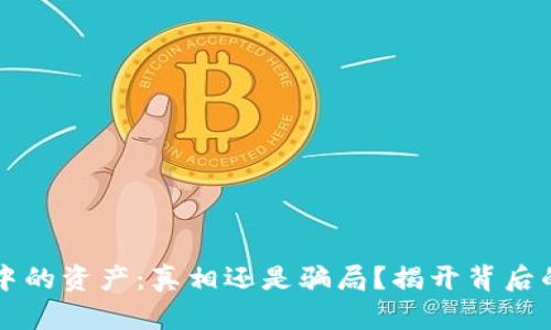 TPWallet中的资产：真相还是骗局？揭开背后的真实面纱