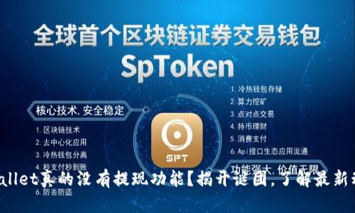 TPWallet真的没有提现功能？揭开谜团，了解最新动态！