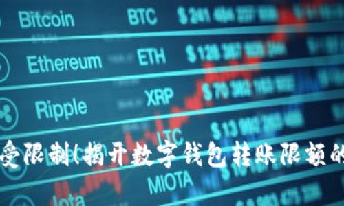 不再受限制！揭开数字钱包转账限额的真相