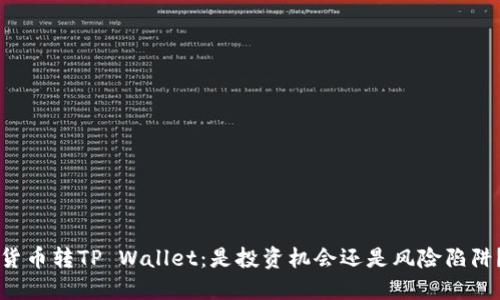 货币转TP Wallet：是投资机会还是风险陷阱？