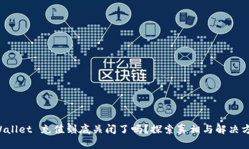 TPWallet 充值到底关闭了吗？探索真相与解决方案！