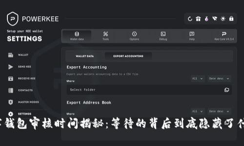 数字钱包审核时间揭秘：等待的背后到底隐藏了什么？