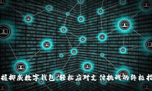 掌握挪威数字钱包：轻松应对支付挑战的终极指南